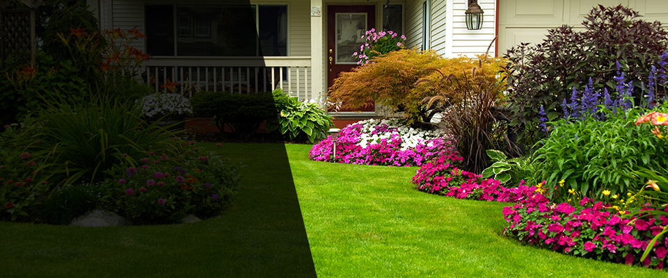 Terrell Landscapers